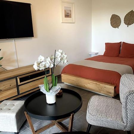 Grand Studio Avec Coin Nuit, Proche Mer Et Montagnes Roquebrune-sur Argens Εξωτερικό φωτογραφία