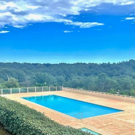 Grand Studio Avec Coin Nuit, Proche Mer Et Montagnes Roquebrune-sur Argens Εξωτερικό φωτογραφία