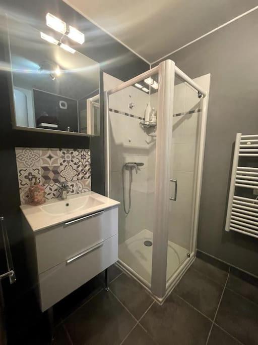 Grand Studio Avec Coin Nuit, Proche Mer Et Montagnes Roquebrune-sur Argens Εξωτερικό φωτογραφία